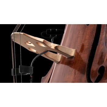 Micrófonos Instrumento 4099-DP-1-201-B