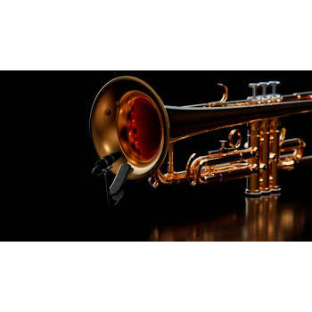 Micrófonos Instrumento 4099-DP-1-101-CM