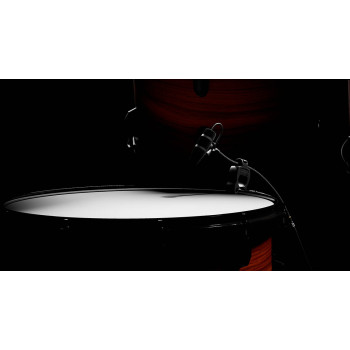 Micrófonos Instrumento 4099-DP-2-201-D