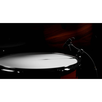 Micrófonos Instrumento 4099-DP-2-201-D