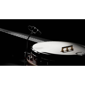 Micrófonos Instrumento 4099-DP-1-199-G