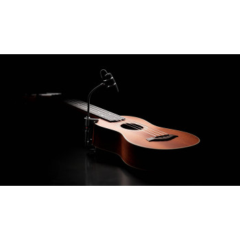 Micrófonos Instrumento 4099-DP-1-199-G