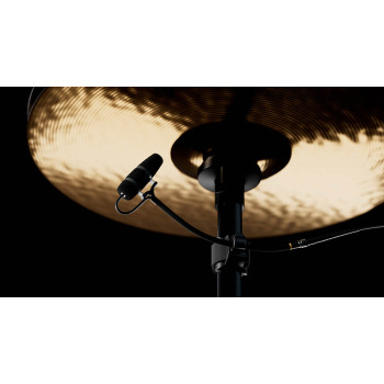 Micrófonos Instrumento 4099-DP-1-101-U