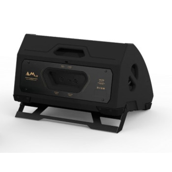 Monitores de escenario M10